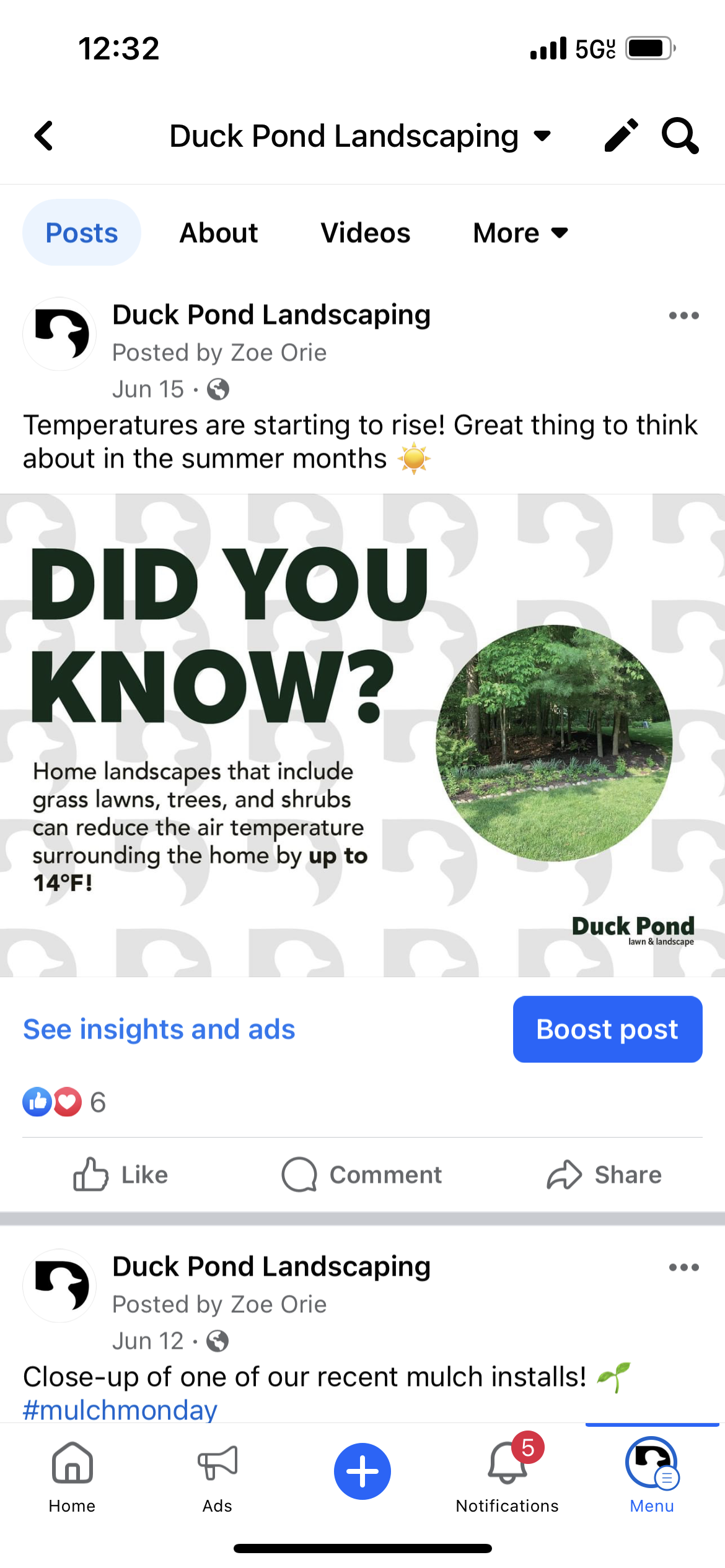 duck pond fact post